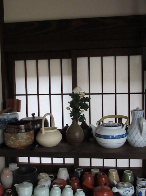 kiku6.jpg
