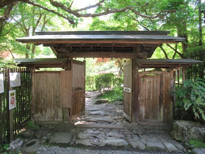 oume2.jpg